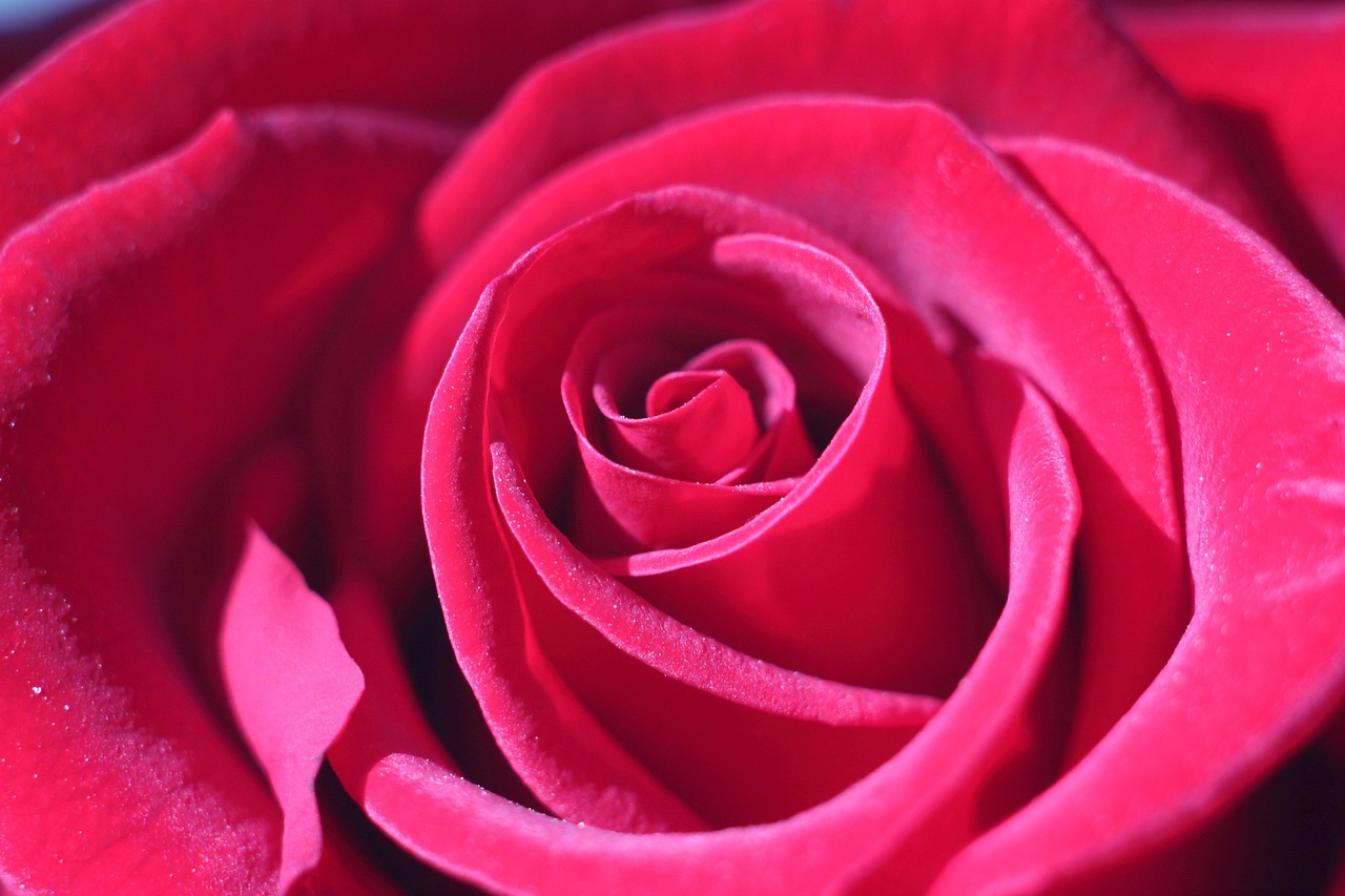 Kasus Penipuan Online yang Marak di Kalangan Mahasiswa 2026 - Edisi February 2026